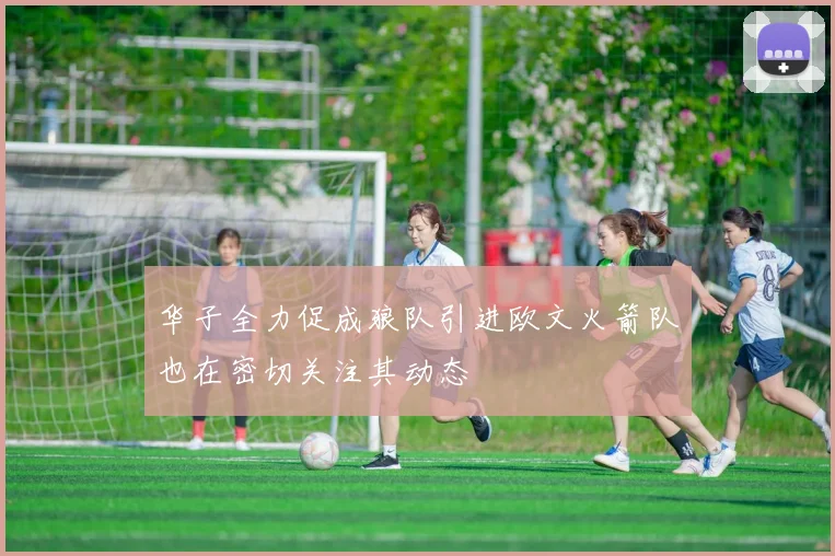 华子全力促成狼队引进欧文火箭队也在密切关注其动态